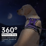 IVY&LANE No Pull Dog Harness for Medium Dogs, Dog Vest Harness with Leash, Safety Belt and Storage Strap, Fully Adjustable Harness, 360° Reflective Strip, Soft Handle (Purple, M) Purple