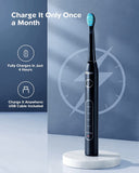 Bitvae Ultrasonic Electric Toothbrushes - Electric Toothbrush for Adults and Kids , American Dental Association Accepted , Rechargeable Travel Sonic Toothbrush with 8 Heads , Black D2