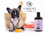 Orient Therapy Lavender Pet Shampoo for Dogs & Cats – Natural Essential Oil Calming Pet Shampoo for Sensitive Skin – Gentle Puppy Conditioning Moisturizing Fur Shampoo Odor Eliminator, 500 ml 1-Pack