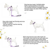 Dog Harness Collar Leash Set - No Pull Pet Adjustable Back Clip Halter Basic Collar Heavy Duty 5FT Anti-Twist Leash for Extra Small Puppy Medium Large Breed Training Easy Walk Running (Yellow Bee, S) Yellow Bee
