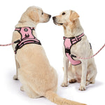 NESTROAD No Pull Dog Harness,Adjustable Oxford Dog Vest Harness with Leash,Reflective No-Choke Pet Harness with Easy Control Soft Handle for Small Dogs(Small,Pink) 【S】neck 11-15" chest 15-21" Pink