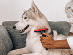 Tuff Pupper Self Cleaning Slicker Brush For Dogs & Cats | One Button Auto Clean | The Ultimate Pet Brush for Removing Loose Fur | Reduces Shedding by up to 95% Deshedding Tool for Long & Short Hair Self Cleaning Deshedding Brush