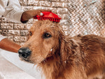 Tuff Pupper Silicone Dog Bath Brush | Rubber Pet Hair Remover Brush for Shampooing & Massaging Dogs | Dog Washing Brush | Dog Shampoo Brush w/ Soft Rubber Bristles Gently Removes Loose & Damaged Fur Shampoo Bath Brush