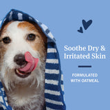 PetArmor Plus Flea & Tick Protection Oatmeal Shampoo for Dogs, 18oz 18 FZ