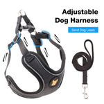 HuggieGems Adjustable Dog Harness Vest and Leash Set for Small, Medium Dogs No Pull, Step in Escape Proof Reflective Easy Walk Puppy Harness, Black, S (Comes with A Measuring Tape) S(Chest:15.7-19.6Inch)*Including Leash