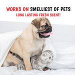 Warren London - Wet Kiss Dog Cologne, Long Lasting Dog Spray, Dog Deodorant to Remove Odor from Stinky Dogs, Pomegranate & Fig, 16 Ounce Bottle