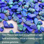 SigMntun Phoenix Lapis Lazuli Crystal Chips Bulk, Natural - 10 oz (283g) Healing Crystals for Reiki Chakra Meditation Energy Balancing Therapy, Tumbled Stones for Crafts Decorative Rocks for Planters 10 Oz - Phoenix Lapis Lazuli