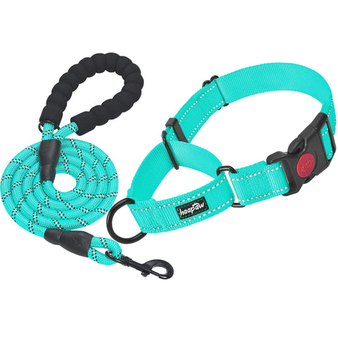 haapaw 2 Packs Martingale Dog Collar with Quick Release Buckle Reflective Dog Training Collars for Small Medium Large Dogs M-Martingale collar Turquoise, Martingale Collar+Leash