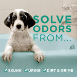 Fresh Wave Lemongrass Odor Removing Dog Shampoo, 16 Fl. Oz. | Pet Odor Eliminator | Safer Odor Relief | Natural Plant-Based Odor Eliminator | Dog Shampoo for Smelly Dogs