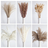 110 PCS Dried Pampas Grass Bouquet, Boho Table Decor, Bunny Tails Dried Flowers, Brown Pompas, White Pampas Grass for Wedding, Home, Rustic Party, Baby Shower Decorations 110pcs Pampas Grass