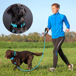 Ladoogo Reflective Dog Collar Padded with Soft Neoprene Breathable Adjustable Nylon Dog Collars for Small Medium Large Dogs (Collar+Leash M Neck 16"-19", Blue) Medium (Pack of 1) Blue Collar+Leash