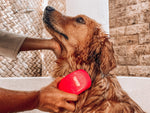 Tuff Pupper Silicone Dog Bath Brush | Rubber Pet Hair Remover Brush for Shampooing & Massaging Dogs | Dog Washing Brush | Dog Shampoo Brush w/ Soft Rubber Bristles Gently Removes Loose & Damaged Fur Shampoo Bath Brush