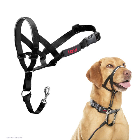 The Company of Animals HALTI Headcollar, Black, 3-Size, Model Number: 13200, Size 3 (Pack of 1)