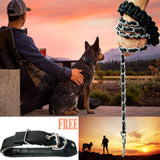 Dog Leash Metal Leashes with Pet Collar Training Walking Leads Heavy Duty Anti Bite Chain Rope Hook for Medium and Large Dogs (Large)