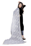 AKSHAR LLC Women's Designer Pure Chiffon Dupatta with Pure Cotton Thread Embroidery Work