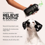 MOD Pet Shampoo for Dogs and Cats l Hypoallergenic Dog Shampoo l Alcohol Free Sensitive Skin Dog Shampoo | Powder Fresh, 34oz