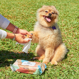 Eco Wave Pet Wipes, 100% Biodegradable & Compostable Dog & Cat Cleansing Wipes
