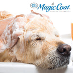 Four Paws Magic Coat Dog Shampoos for Dogs, Dog Grooming Supplies, Dog Bathing Supplies, Made in USA 16 Ounces (1 Count) Reduces Shedding Dog Shampoo