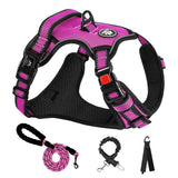 NESTROAD No Pull Dog Harness,Adjustable Oxford Dog Vest Harness with Leash,Reflective No-Choke Pet Harness with Easy Control Soft Handle for Small Dogs(Small,Pink) 【S】neck 11-15" chest 15-21" Pink
