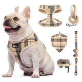 MINA&CO Dog Harness for Small Dogs No Pull - Adjustable Mesh Puppy Harness and Leash Set, Harness Medium Size Dog, Puppy Collar and Leash Set with Bandana & Poop Bag, Dog Vest Harness (Beige, Large) BEIGE