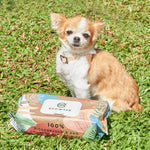 Eco Wave Pet Wipes, 100% Biodegradable & Compostable Dog & Cat Cleansing Wipes