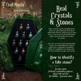 Crystals for Witchcraft in Skull Spells Jars - Real Crystal Chips Set with Crystal Grids in Tomb Box - Witchy Gifts for Women Crystals and Healing Stones Wiccan Supplies and Tools Chakra Gemstones