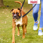 HALTI Optifit Headcollar Size Medium, Bestselling Dog Head Harness to Stop Pulling on the Lead, Easy to Use, Adjustable & Reflective Head Collar for Dogs, Professional Anti-Pull Training Aid